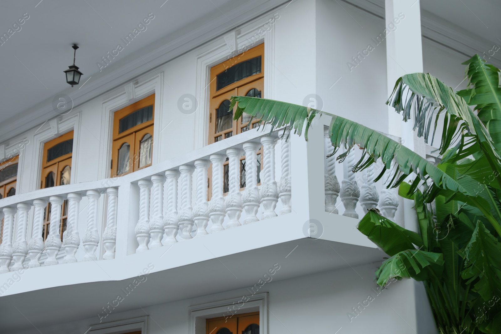 Photo of Exterior of beautiful building with balcony and palm tree outdoors