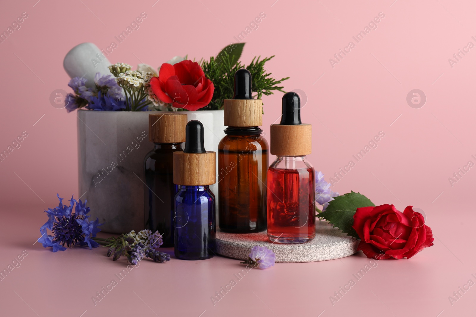 Photo of Aromatherapy. Different essential oils, flowers, mortar and pestle on pink background