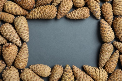 Photo of Frame of pinecones on dark background, flat lay. Space for text