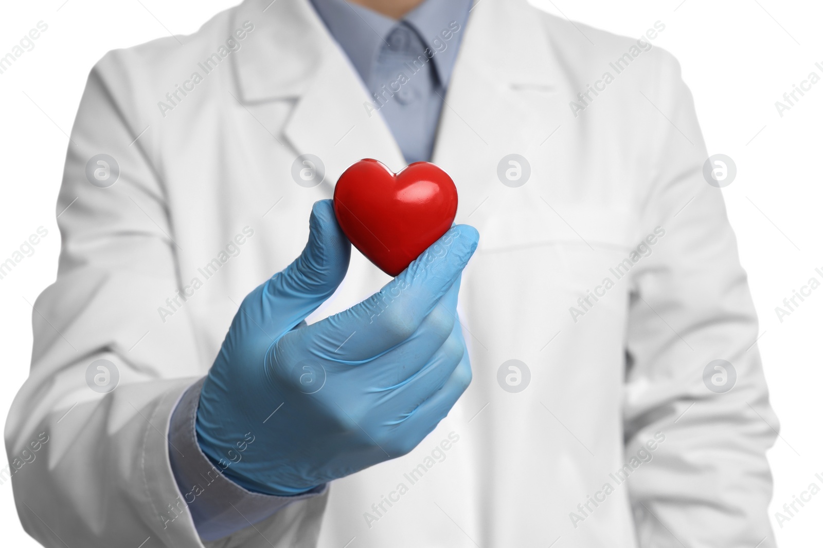 Photo of Doctor wearing light blue medical glove holding decorative heart on white background, closeup