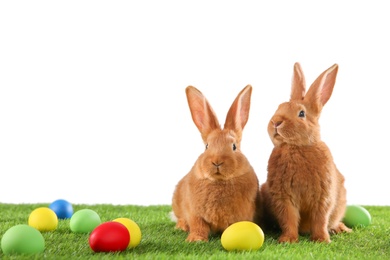 Photo of Cute bunnies and Easter eggs on green grass against white background