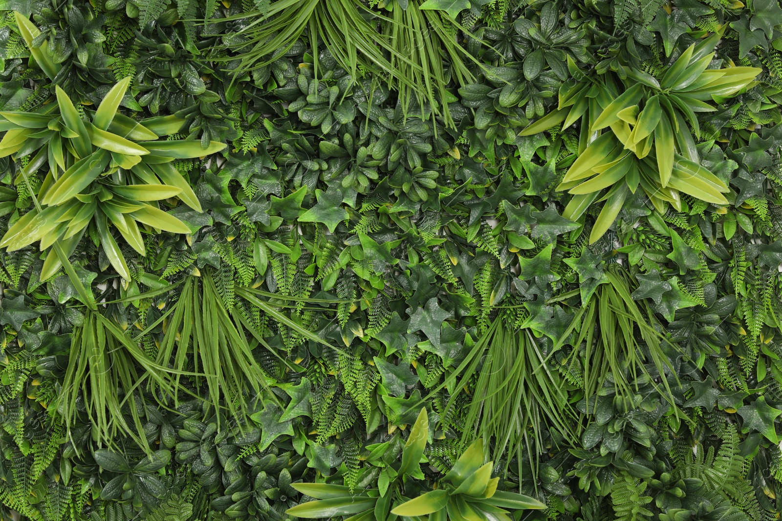 Photo of Green artificial plant wall panel as background, closeup