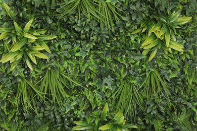 Green artificial plant wall panel as background, closeup