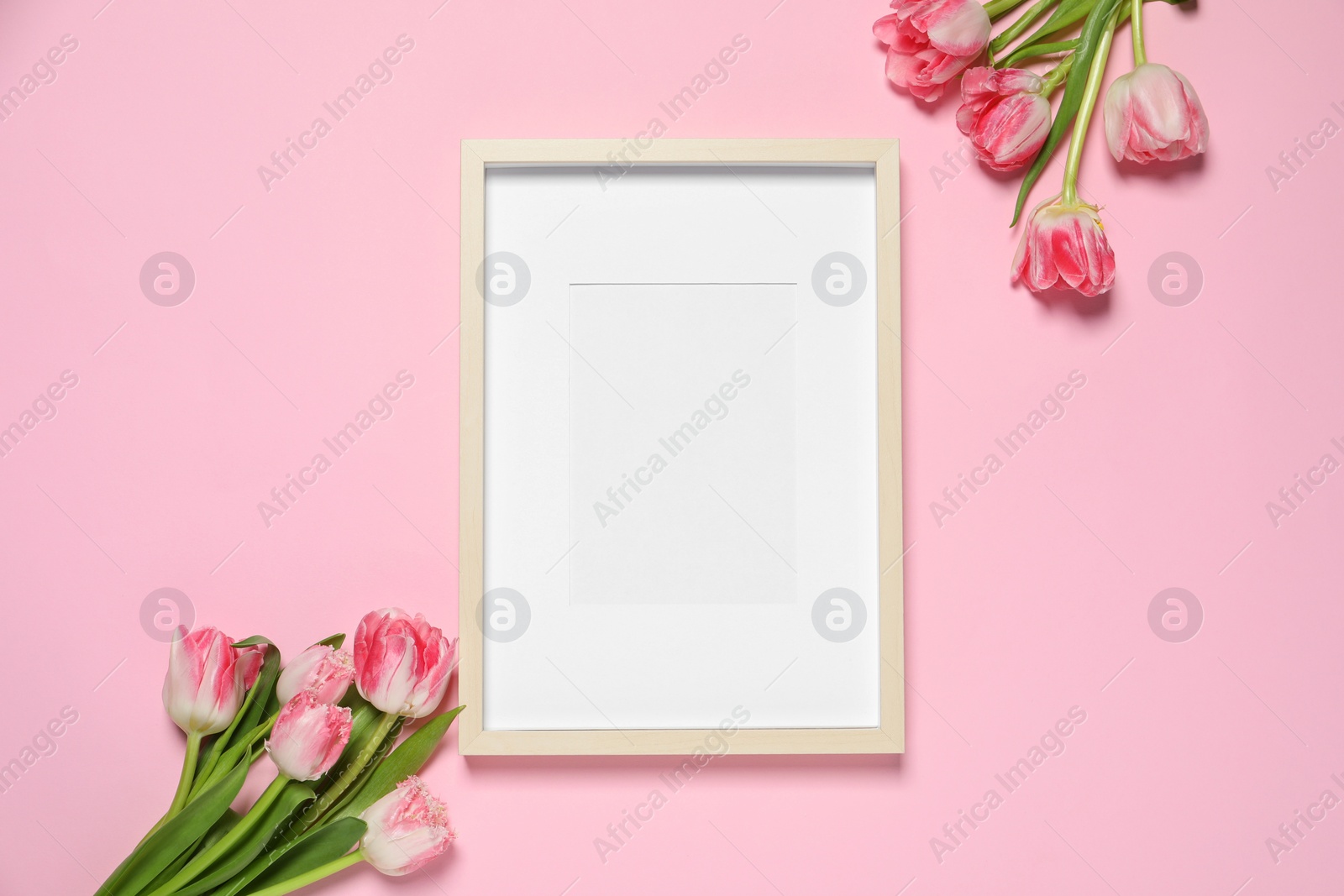 Photo of Empty photo frame and beautiful tulip flowers on pink background, flat lay. Space for design