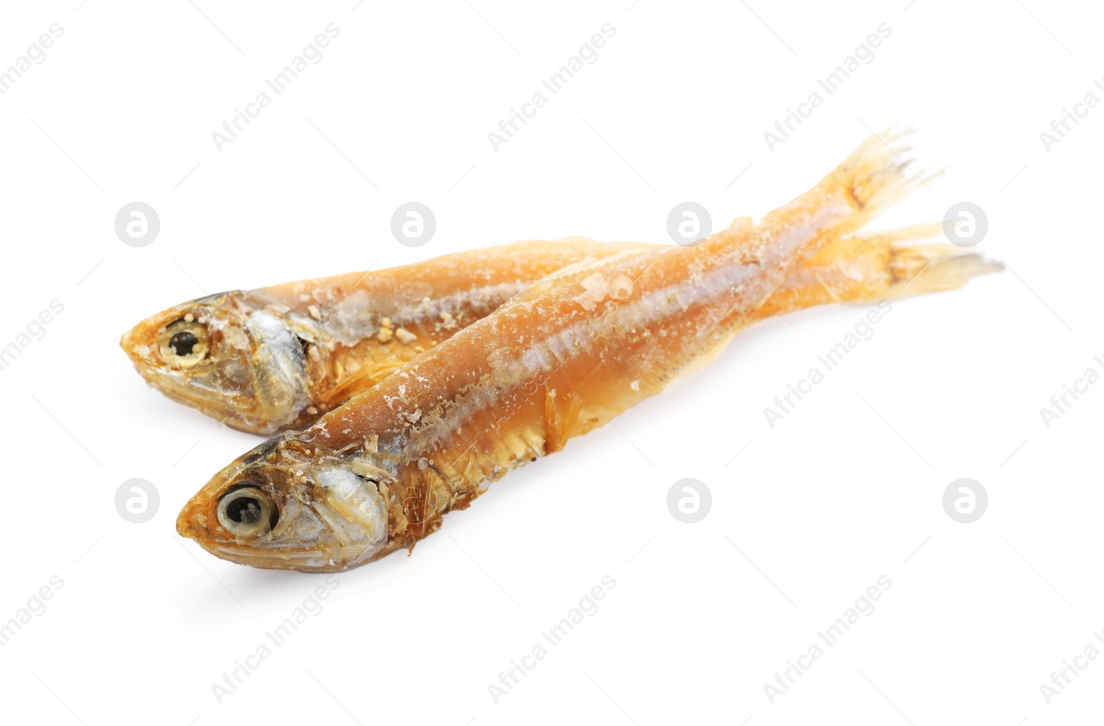 Photo of Delicious dried salted anchovies on white background