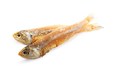 Photo of Delicious dried salted anchovies on white background