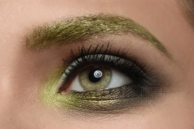 Young woman with evening makeup, closeup. Eye shadow product