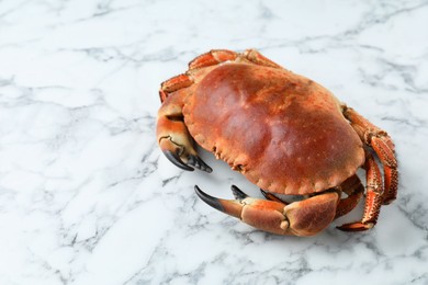 Photo of Delicious boiled crab on white marble table, space for text
