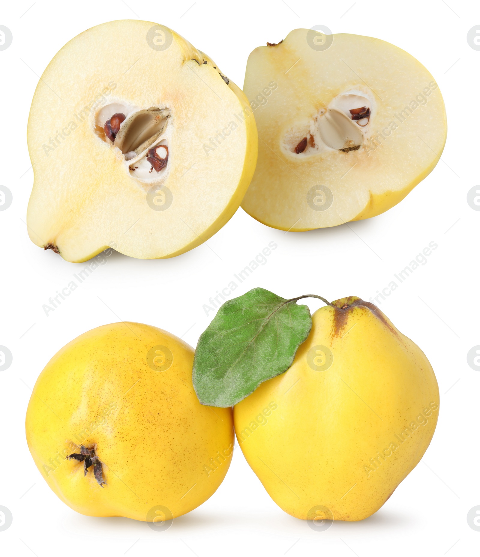 Image of Fresh ripe quince fruits isolated on white, set