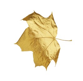 Photo of One golden maple leaf isolated on white. Autumn season