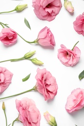 Photo of Beautiful pink Eustoma flowers on white background, flat lay