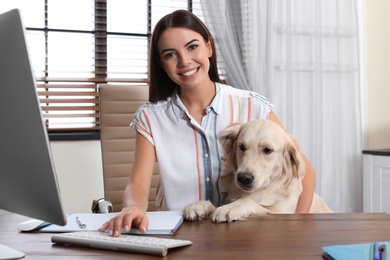 Photo of Young woman working at home office and stroking her Golden Retriever dog