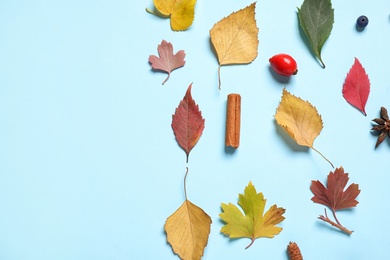 Flat lay composition with autumn leaves on light blue background. Space for text