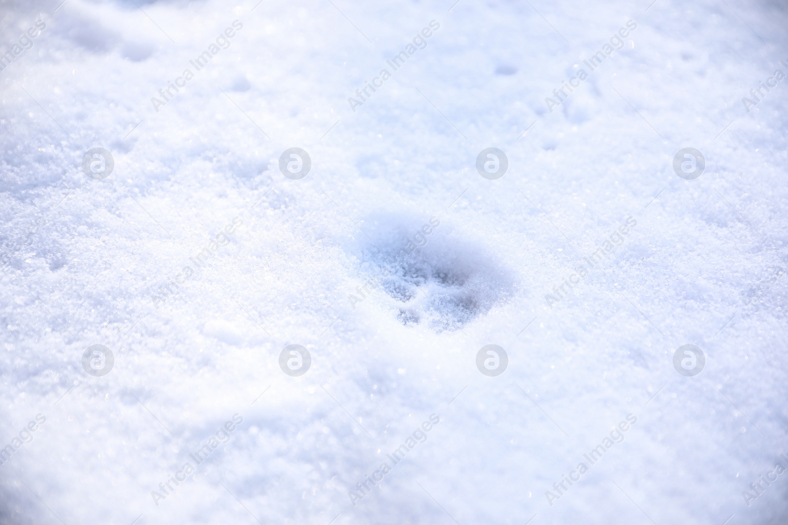 Photo of Crispy snow with animal's pawprint as background