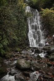 Photo of Picturesque view of beautiful mountain waterfall, green plants and rocks outdoors