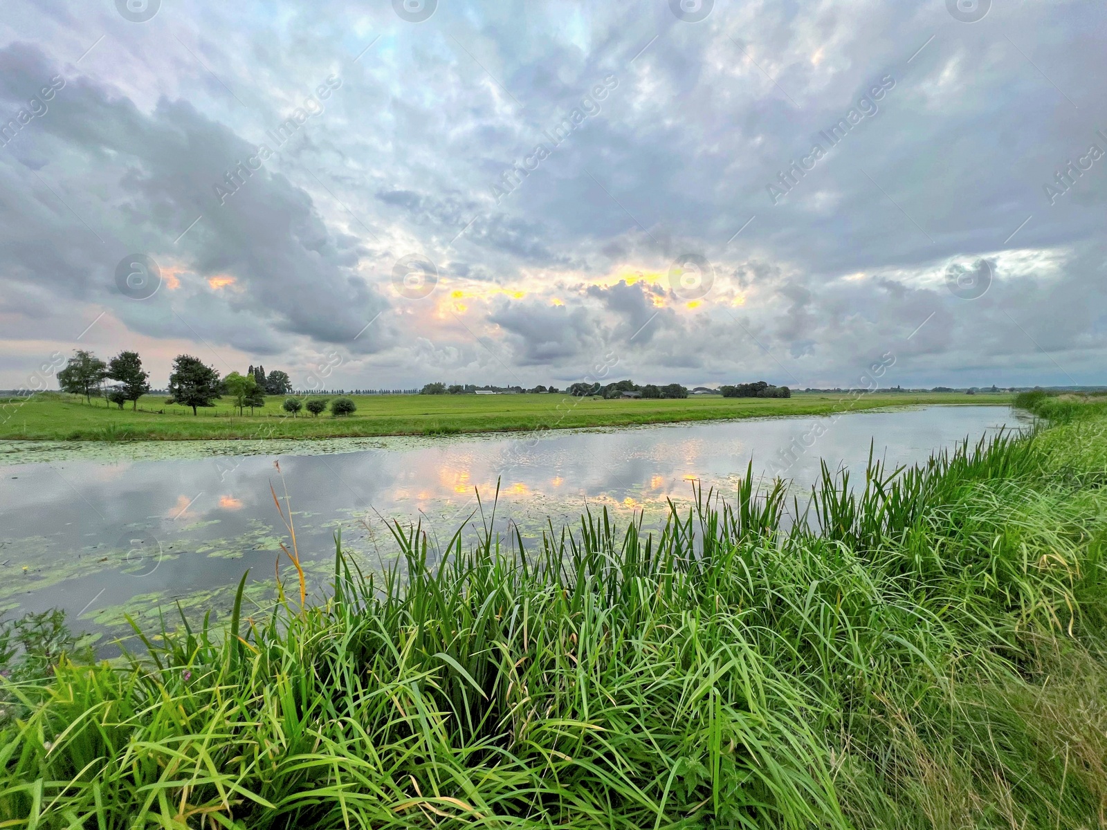 Photo of Picturesque view of river reeds and cloudy sky