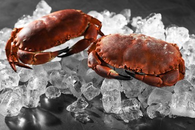 Photo of Delicious boiled crabs with ice cubes on grey table