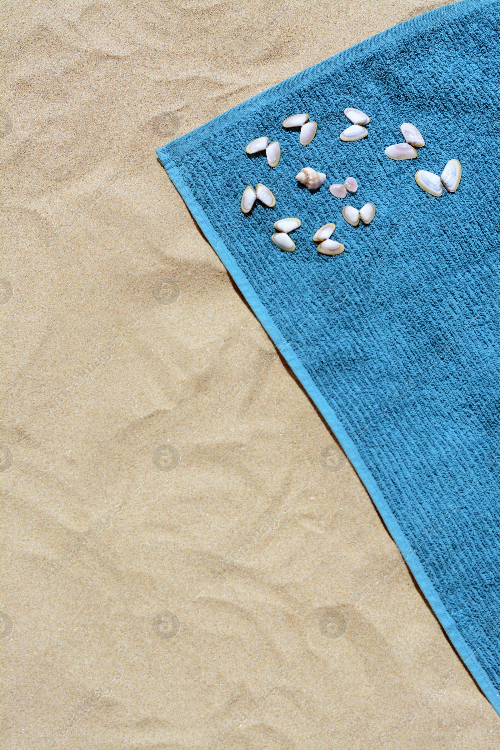 Photo of Towel and seashells on sand, above view with space for text. Beach accessory