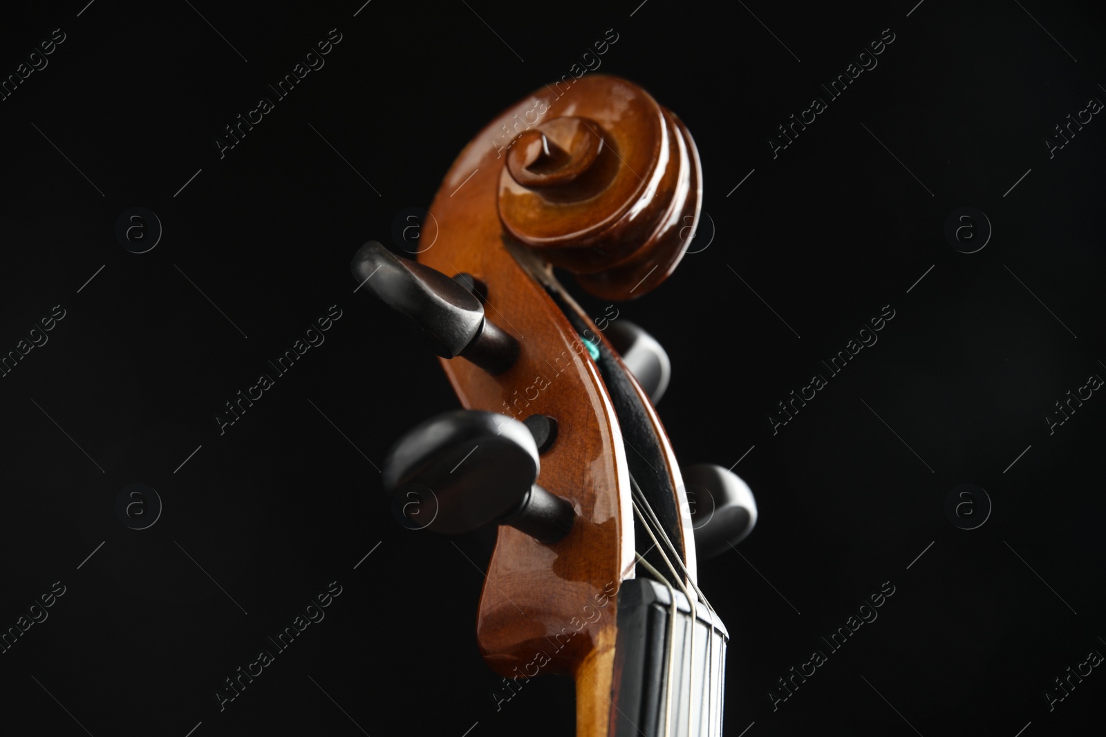 Photo of Beautiful violin on black background, closeup view