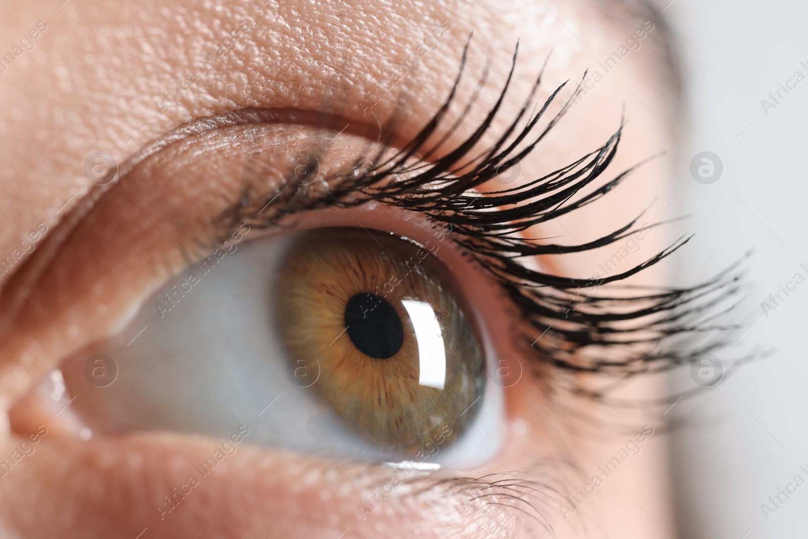 Photo of Macro photo of woman with beautiful eyes