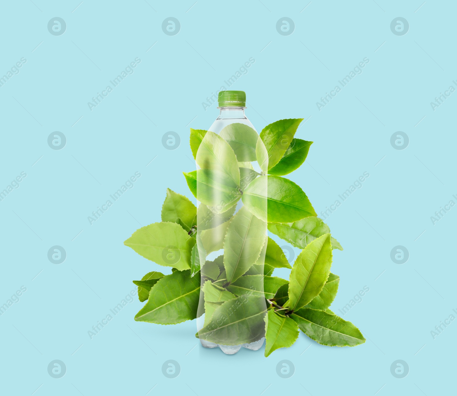 Image of Bottle made of biodegradable plastic and green leaves on light blue background