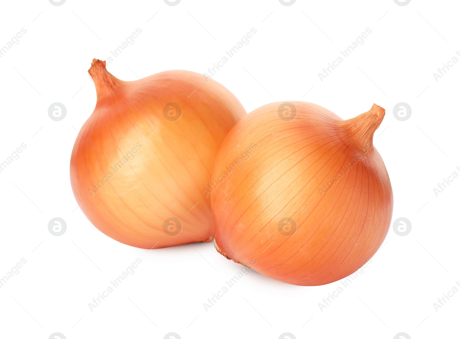 Photo of Two fresh unpeeled onions on white background