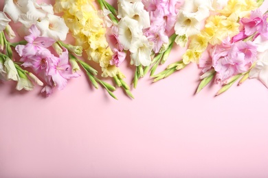 Photo of Flat lay composition with beautiful gladiolus flowers on color background