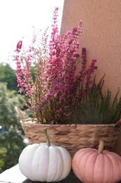 Wicker basket with beautiful heather flowers and pumpkins on windowsill outdoors