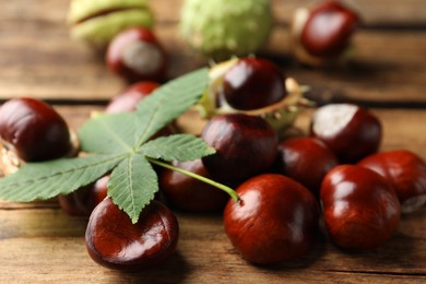 Photo of Many horse chestnuts and leaf on wooden table