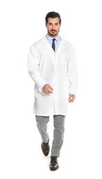 Young male doctor walking on white background. Medical service