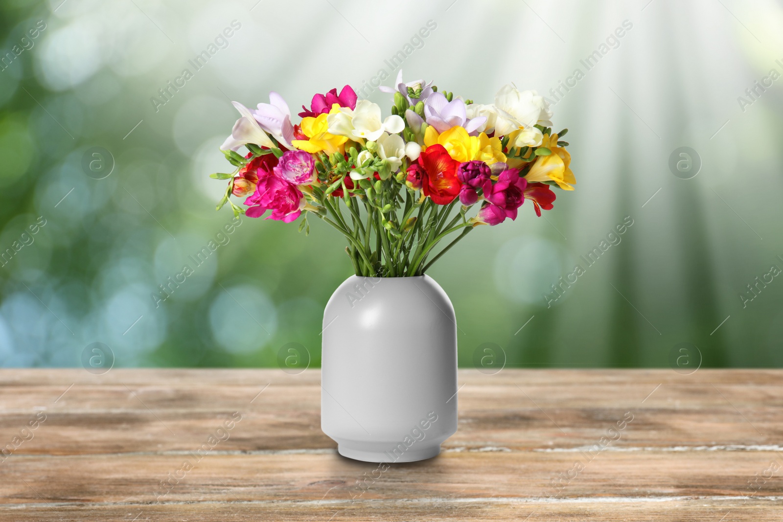 Image of Vase with beautiful freesia flowers on wooden table outdoors. Bokeh effect