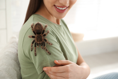 Photo of Woman with striped knee tarantula at home, closeup. Exotic pet