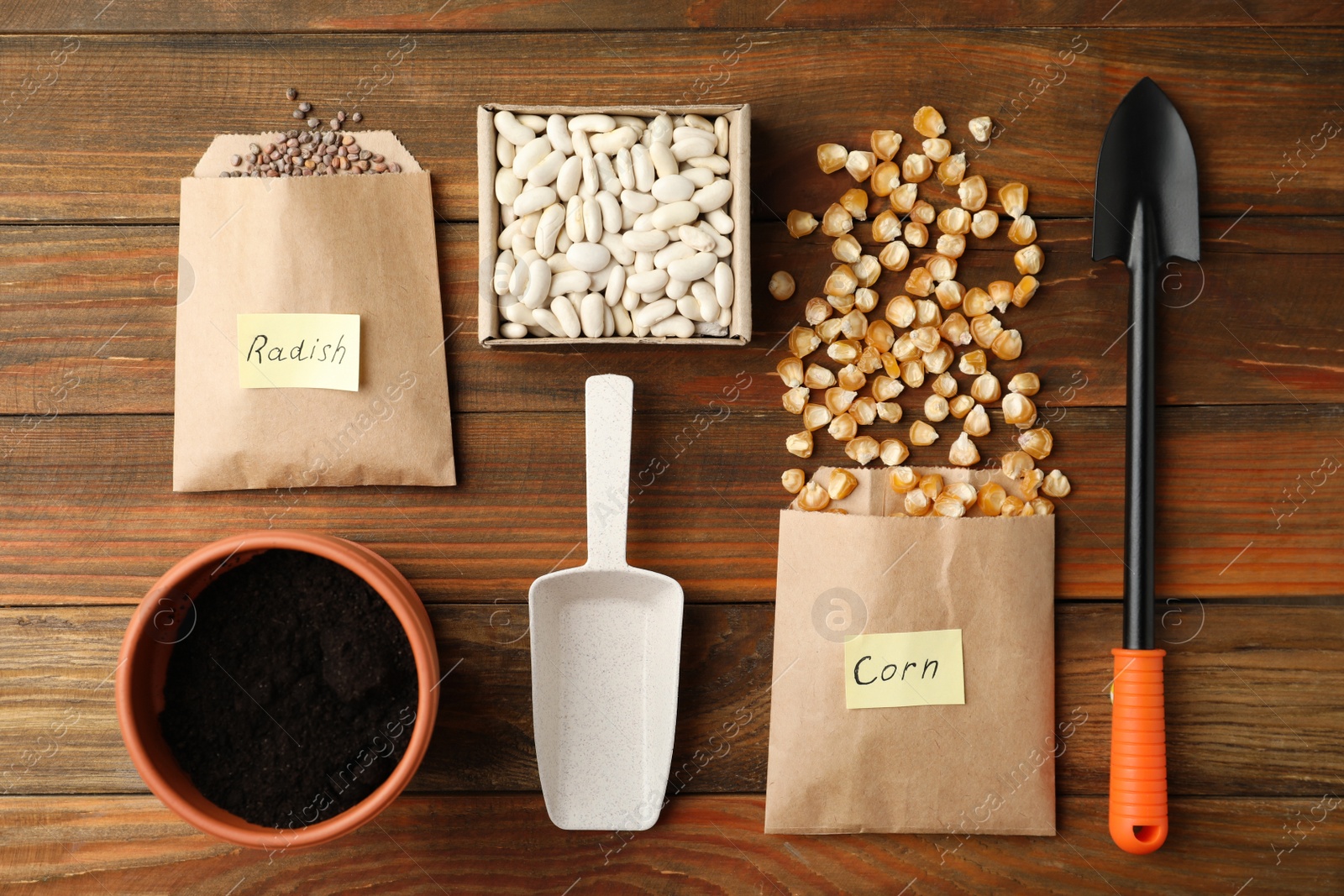 Photo of Vegetable seeds, pot and gardening tools on wooden table, flat lay