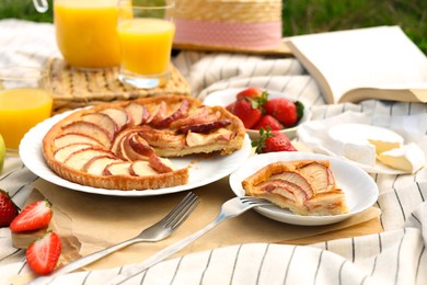 Apple pie and different products on blanket outdoors. Summer picnic