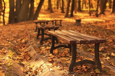 Photo of Wooden benches and fallen leaves in park on sunny day