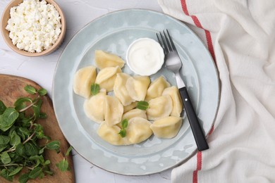 Delicious dumplings (varenyky) with cottage cheese mint and sour cream served on white table, flat lay