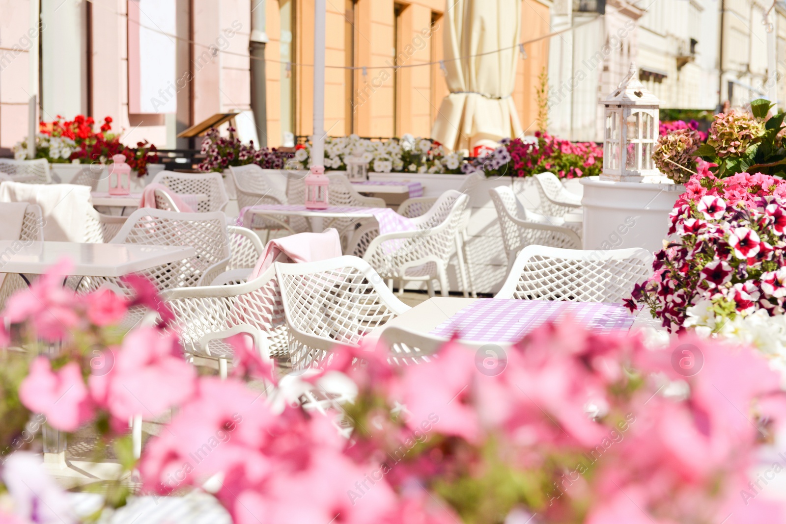 Photo of Outdoor cafe with beautiful flowers and comfortable furniture