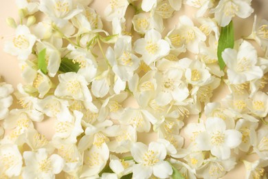 Many aromatic jasmine flowers on beige background, flat lay