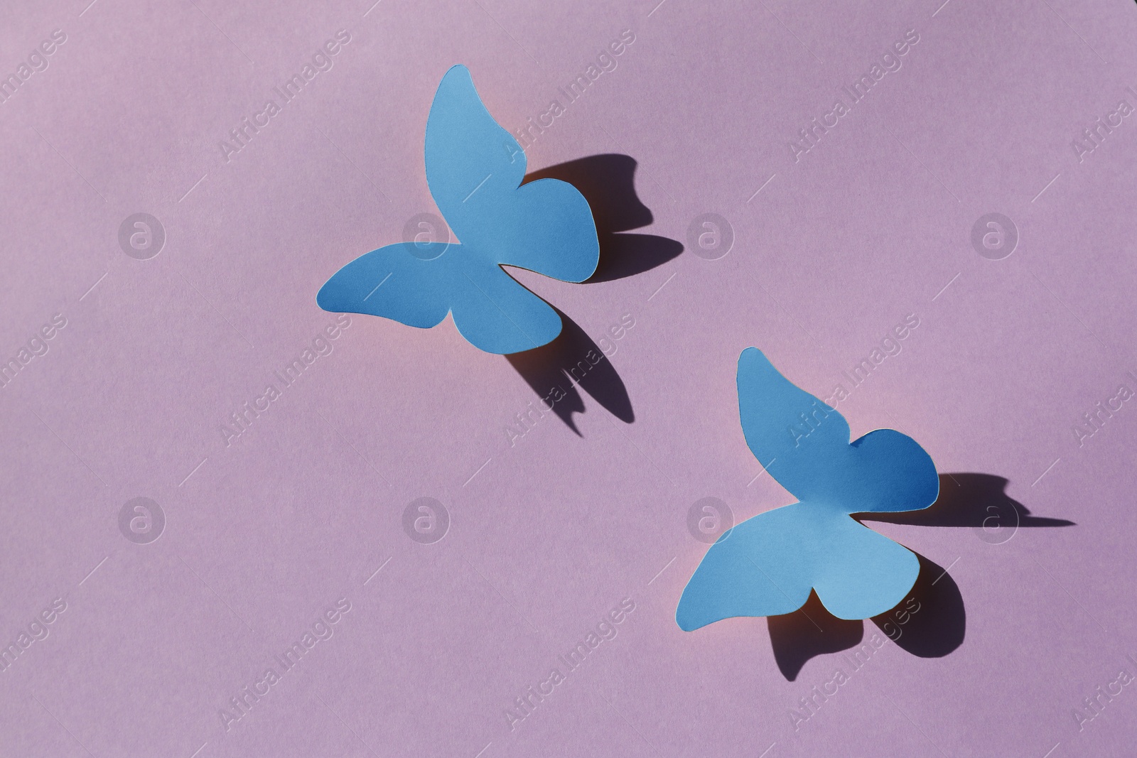 Image of Bright light blue paper butterflies on violet background