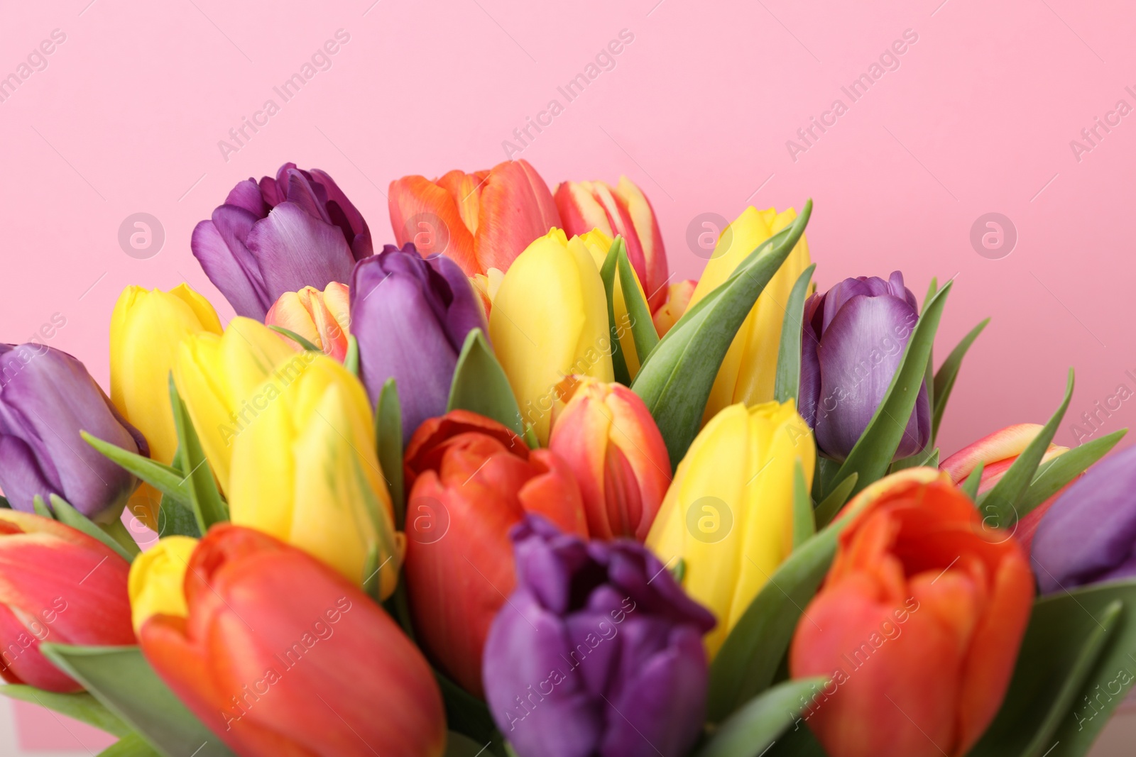 Photo of Bouquet of beautiful tulips on pink background, closeup