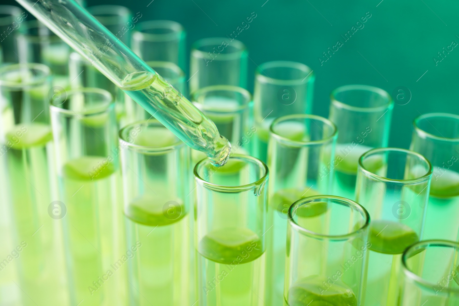 Photo of Dropping sample into test tube with liquid, closeup