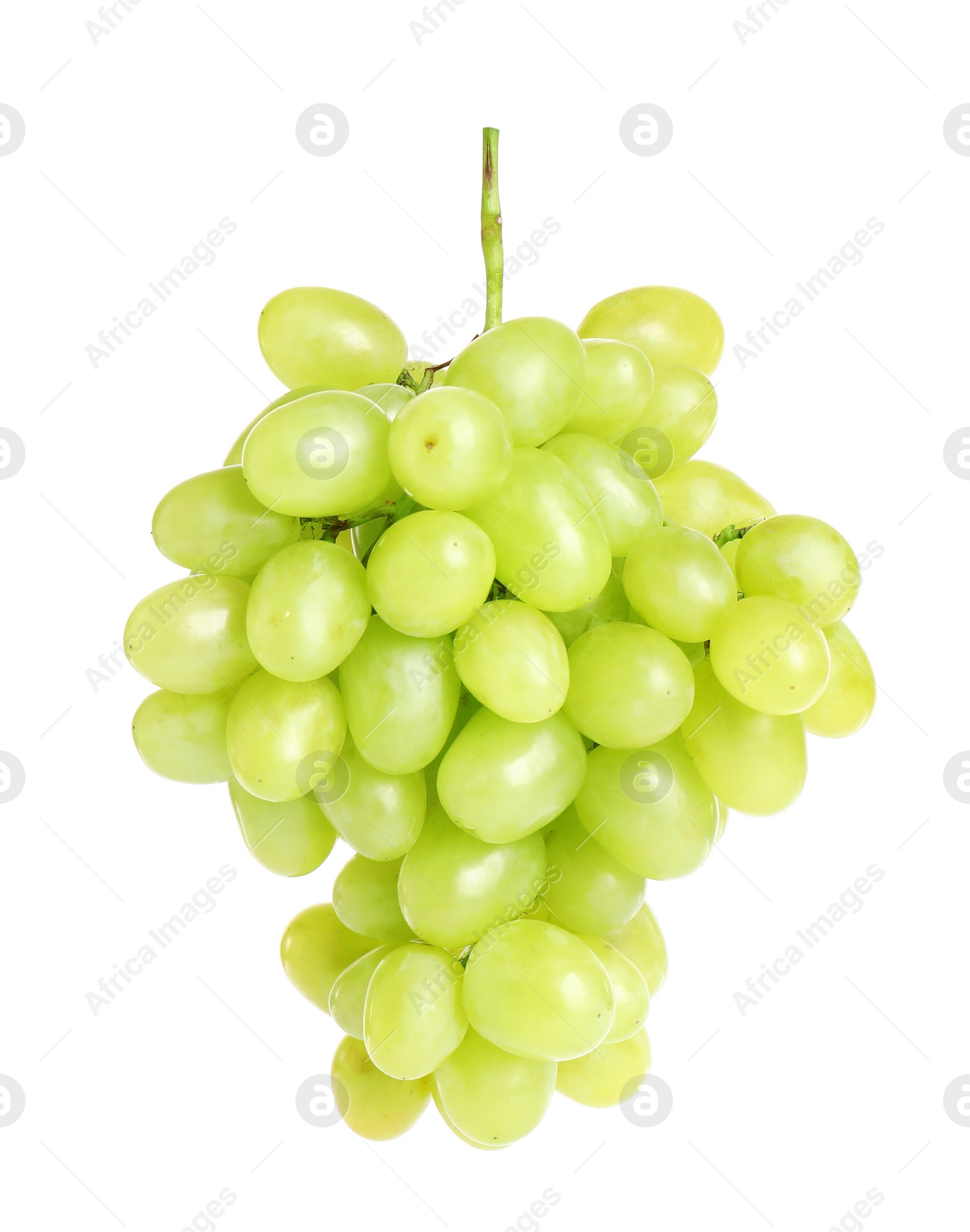 Photo of Bunch of fresh ripe juicy grapes isolated on white