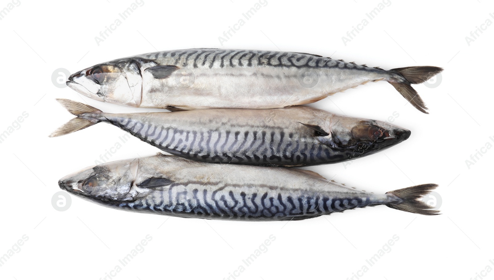 Photo of Tasty salted mackerels isolated on white, top view