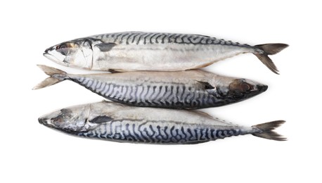 Tasty salted mackerels isolated on white, top view