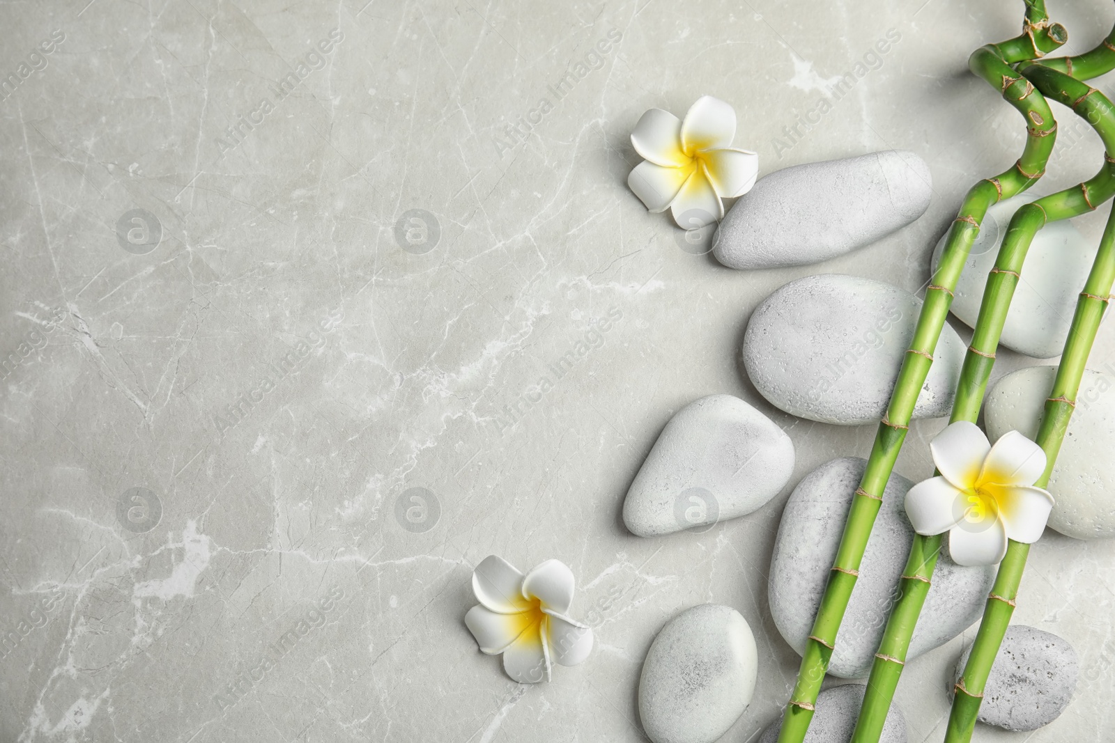 Photo of Bamboo branches, spa stones and flowers on gray background, top view. Space for text