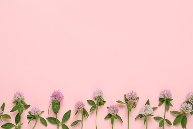 Beautiful clover flowers on pink background, flat lay. Space for text