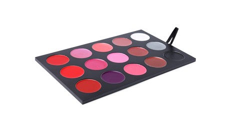 Cream lipstick palette isolated on white. Professional cosmetic product
