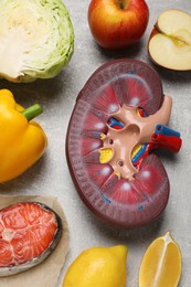 Photo of Flat lay composition with kidney model and different products on grey table