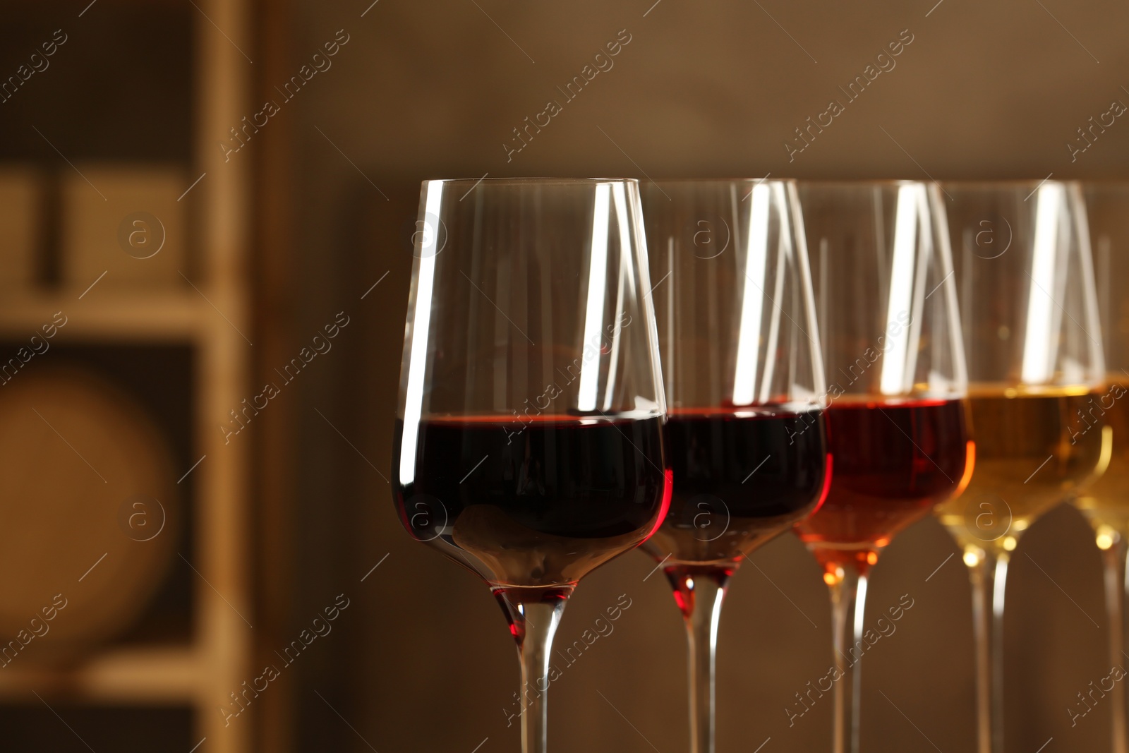 Photo of Glasses of different wines in cellar, closeup. Expensive collection