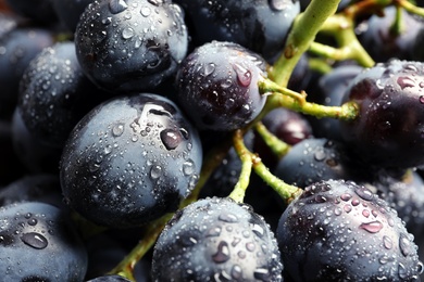 Bunch of fresh ripe juicy grapes as background. Closeup view